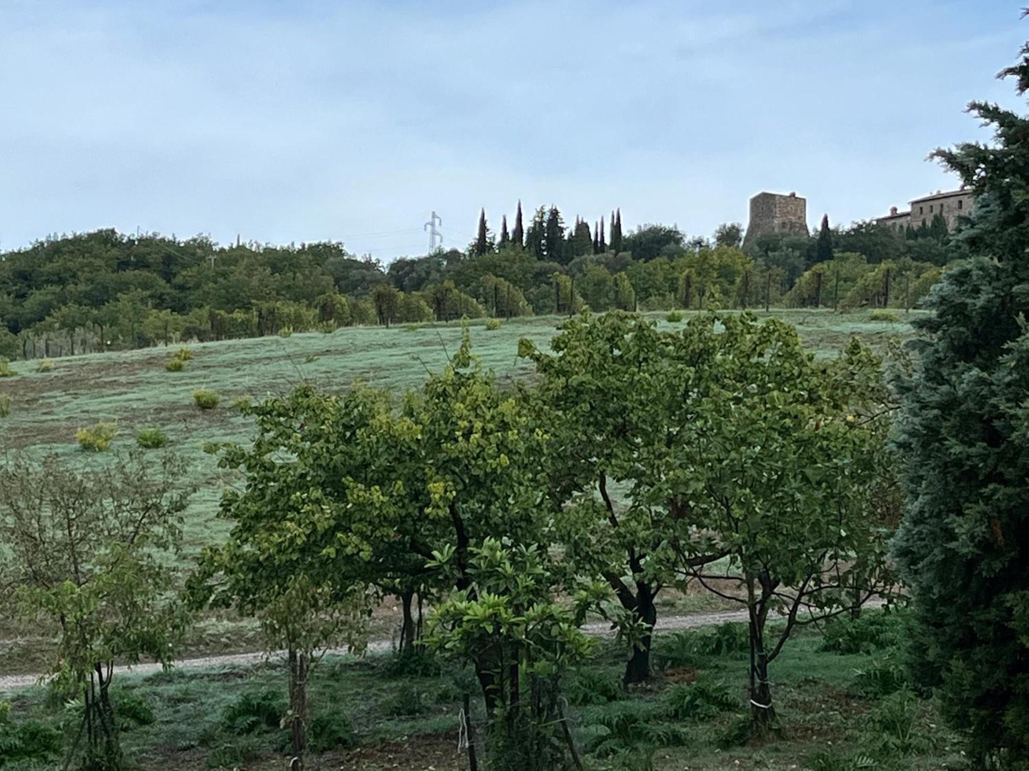 Agriturismo Le Querciole In Val D'Orcia Bagno Vignoni Exteriér fotografie