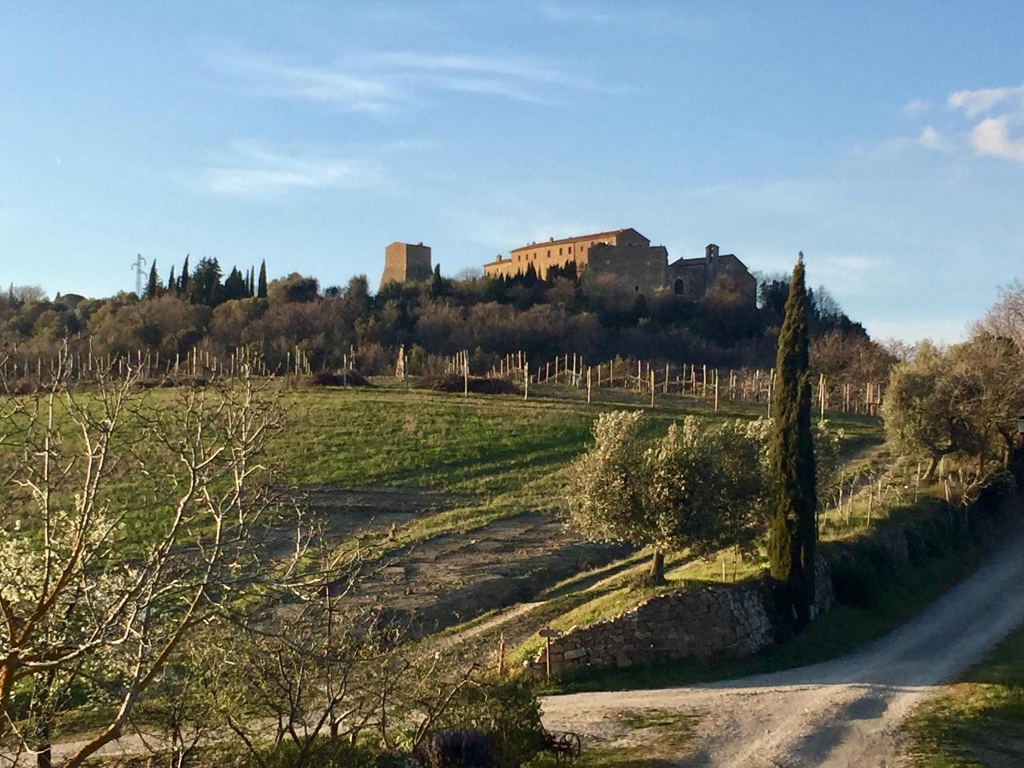 Agriturismo Le Querciole In Val D'Orcia Bagno Vignoni Exteriér fotografie
