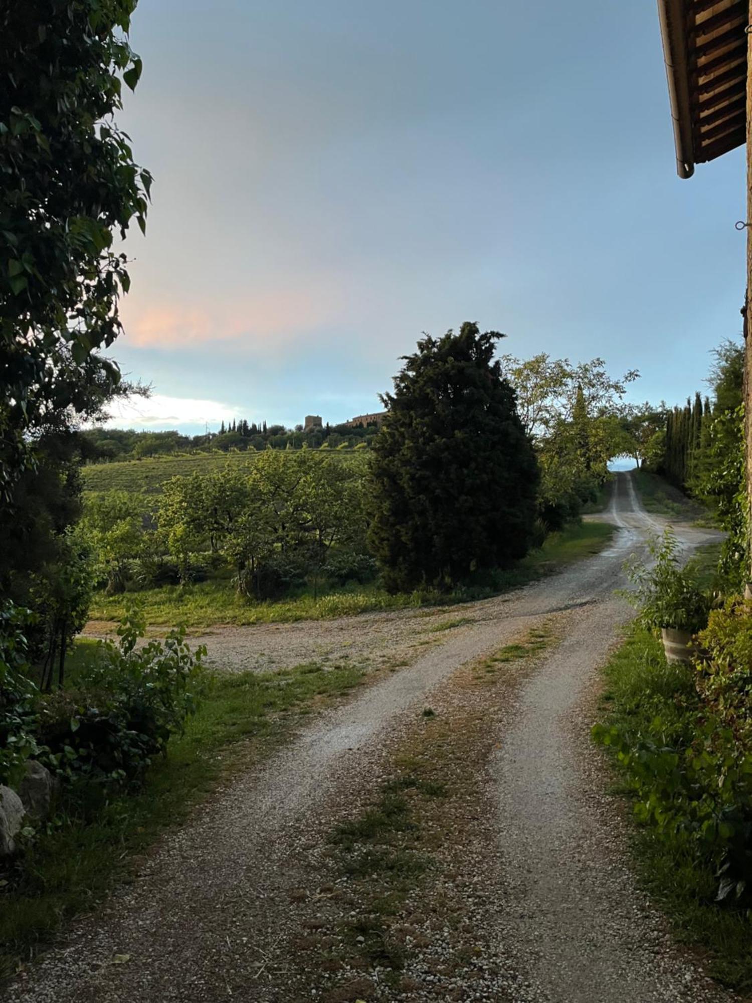 Agriturismo Le Querciole In Val D'Orcia Bagno Vignoni Exteriér fotografie