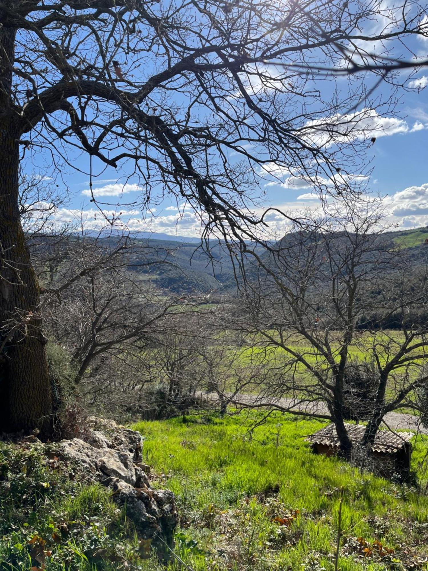Agriturismo Le Querciole In Val D'Orcia Bagno Vignoni Exteriér fotografie